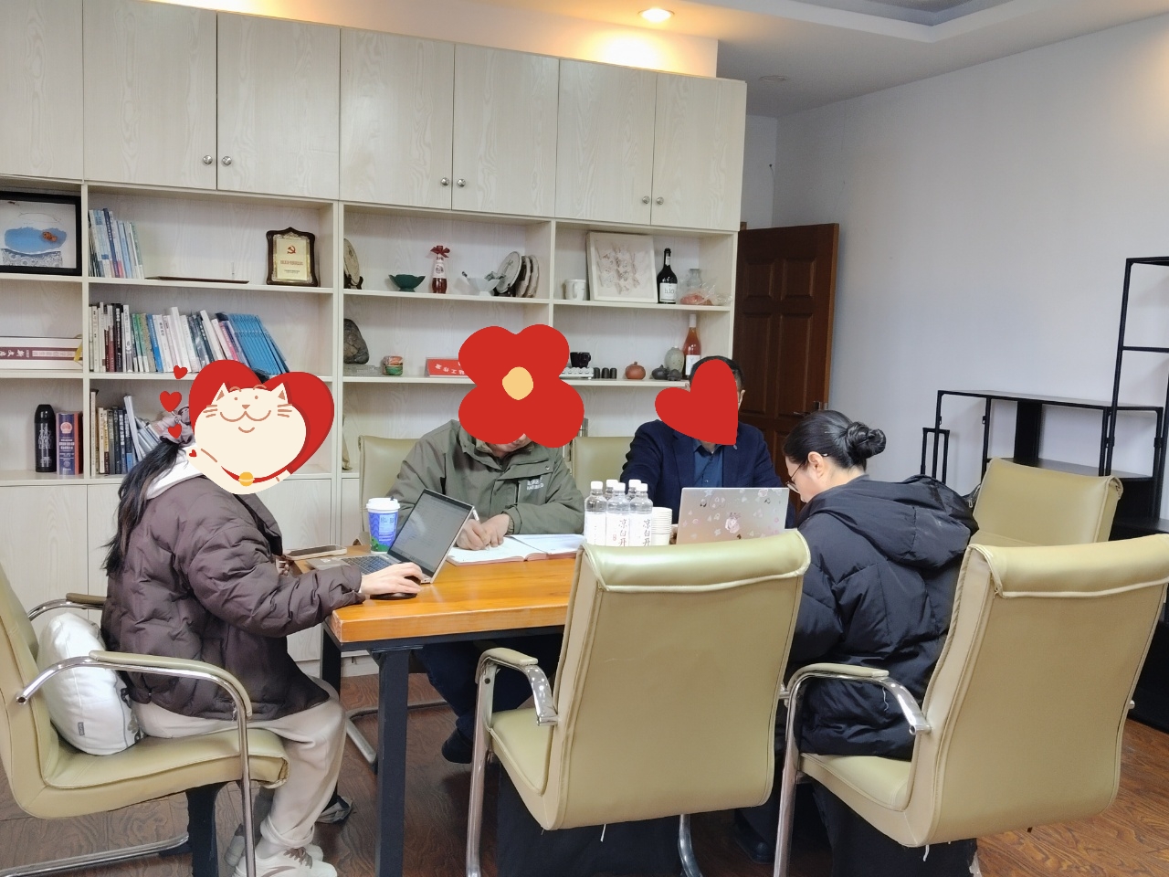 Haorun Medis - Audit TUV